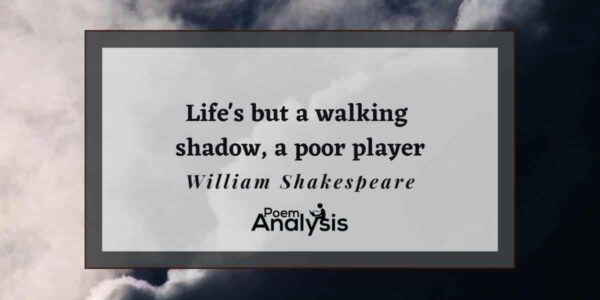 Life's but a walking shadow, a poor player, by William Shakespeare